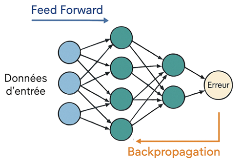 Feed forward et backpropagation - Deep learning et réseaux de neurones