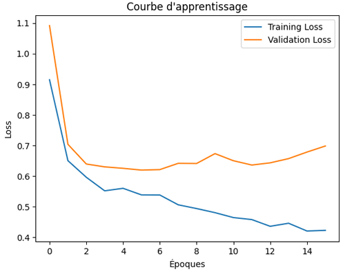 Courbe d'apprentissage du réseau de neurones - Classification binaire avec régularisation par Early Stopping