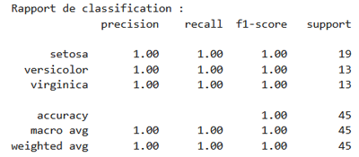 Métriques de performances: precision, recall, f1 score et support